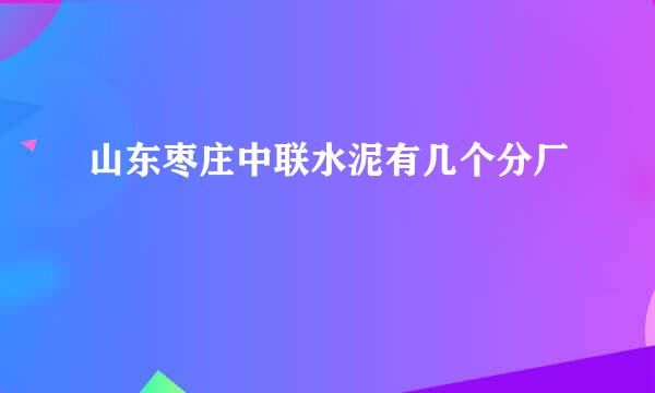 山东枣庄中联水泥有几个分厂