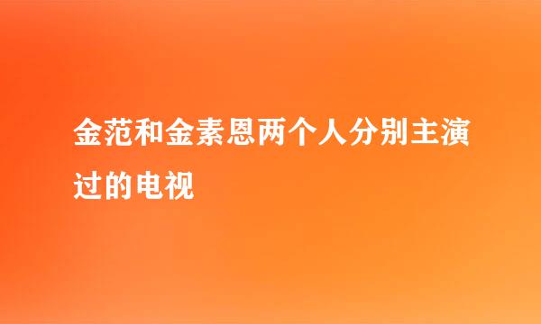 金范和金素恩两个人分别主演过的电视