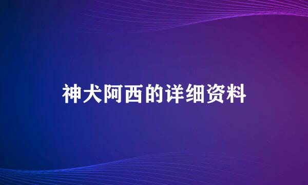 神犬阿西的详细资料