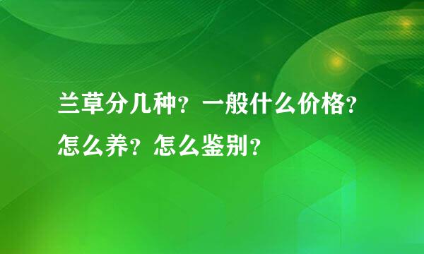 兰草分几种？一般什么价格？怎么养？怎么鉴别？