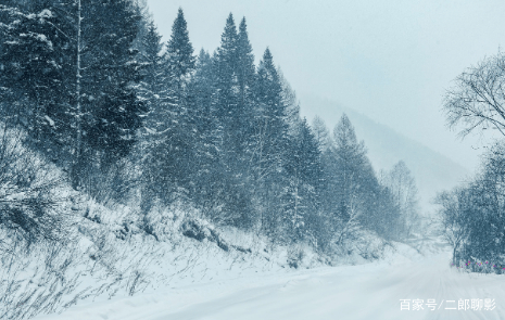 辽宁一男孩暴雪天骑马去吃米线，平常这匹马是在哪里圈养的？