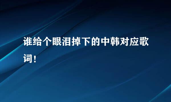 谁给个眼泪掉下的中韩对应歌词！