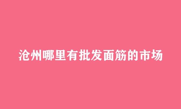 沧州哪里有批发面筋的市场