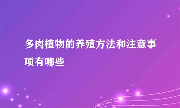 多肉植物的养殖方法和注意事项有哪些