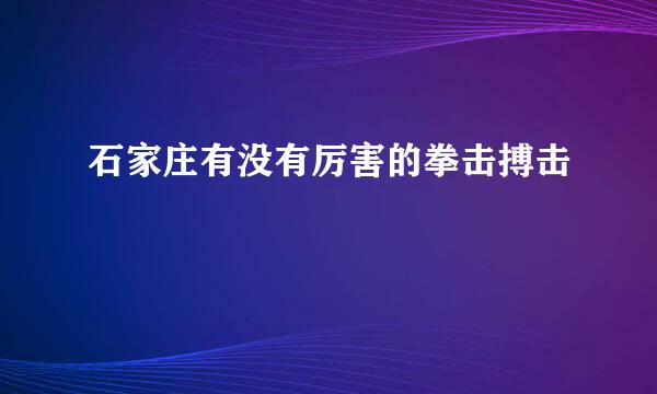 石家庄有没有厉害的拳击搏击