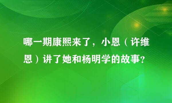 哪一期康熙来了，小恩（许维恩）讲了她和杨明学的故事？