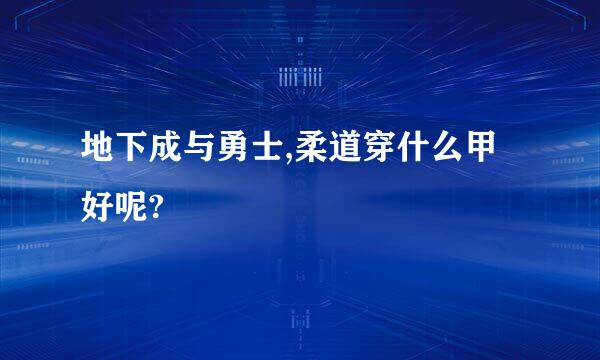 地下成与勇士,柔道穿什么甲好呢?