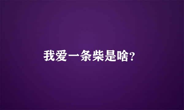 我爱一条柴是啥？