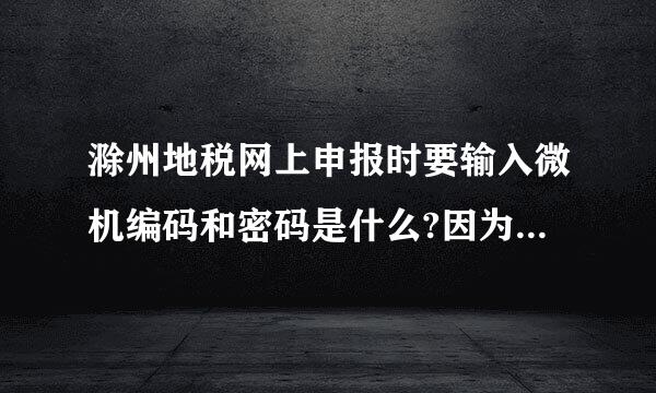 滁州地税网上申报时要输入微机编码和密码是什么?因为是首次进入不知道