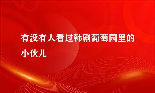 有没有人看过韩剧葡萄园里的小伙儿