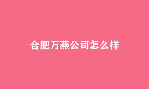 合肥万燕公司怎么样