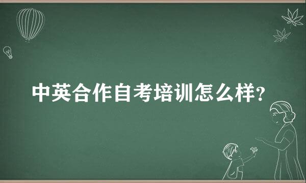 中英合作自考培训怎么样？