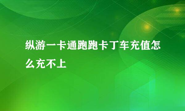 纵游一卡通跑跑卡丁车充值怎么充不上