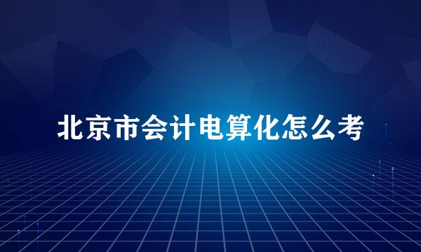 北京市会计电算化怎么考