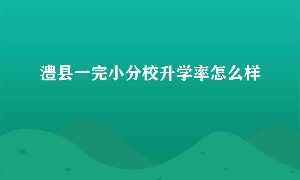 澧县一完小分校升学率怎么样