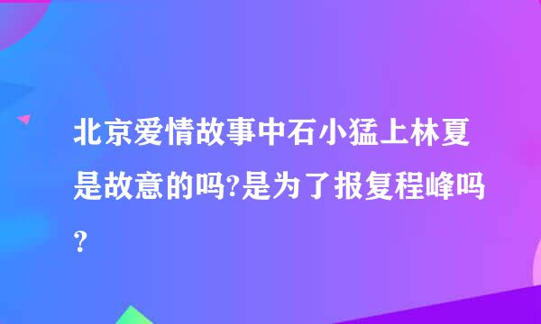 北京爱情故事中石小猛上林夏是故意的吗?是为了报复程峰吗？