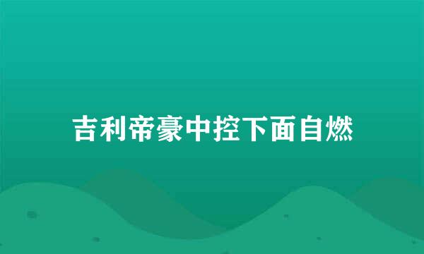 吉利帝豪中控下面自燃