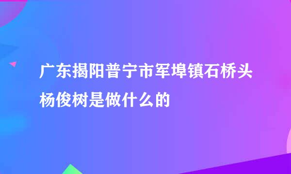 广东揭阳普宁市军埠镇石桥头杨俊树是做什么的