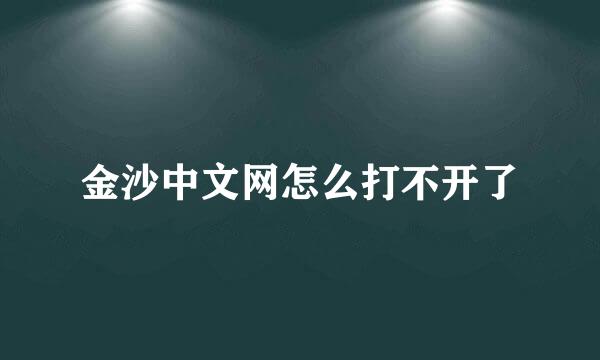 金沙中文网怎么打不开了