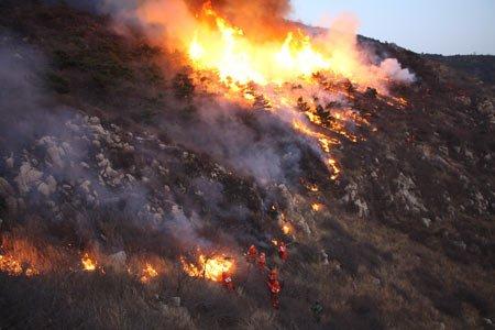 青岛三标山山火持续，当地紧急疏散群众，山火为何很难被扑灭？