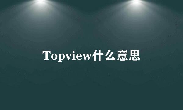 Topview什么意思