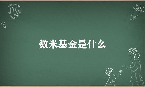 数米基金是什么