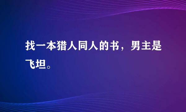 找一本猎人同人的书，男主是飞坦。