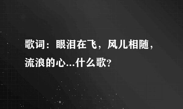 歌词：眼泪在飞，风儿相随，流浪的心...什么歌？