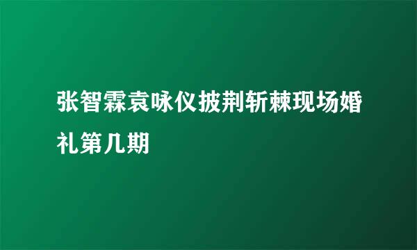 张智霖袁咏仪披荆斩棘现场婚礼第几期