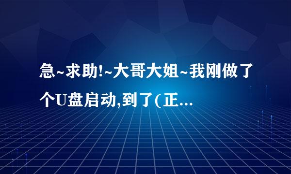 急~求助!~大哥大姐~我刚做了个U盘启动,到了(正在加载RAMDISK映像)之后很久没反映