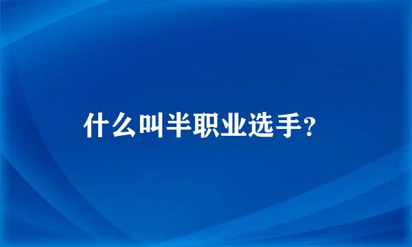 什么叫半职业选手？