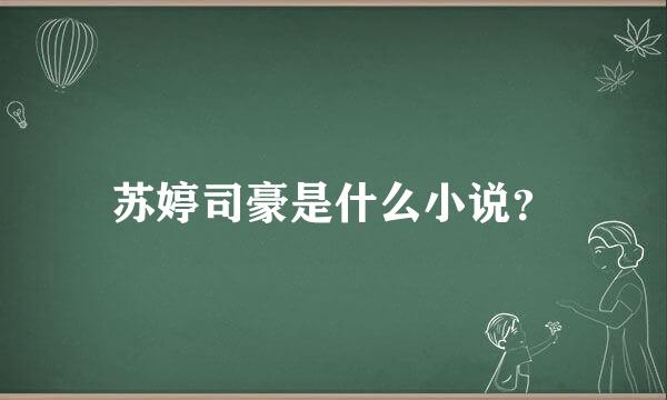 苏婷司豪是什么小说？