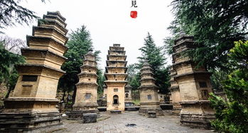 少林寺500多年古碑遭熊孩子刻画，文物保护我们怎么做？