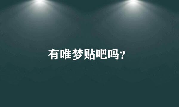 有唯梦贴吧吗？