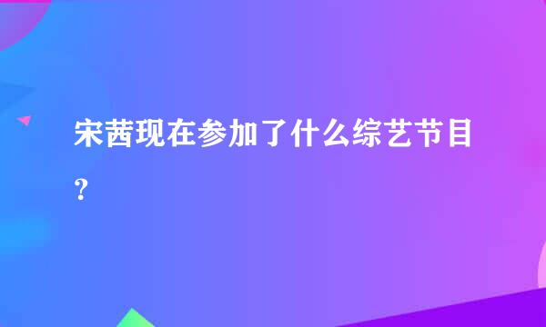 宋茜现在参加了什么综艺节目？