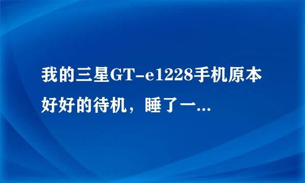 我的三星GT-e1228手机原本好好的待机，睡了一觉起来没反应了，开机都开不了，咋回事啊？