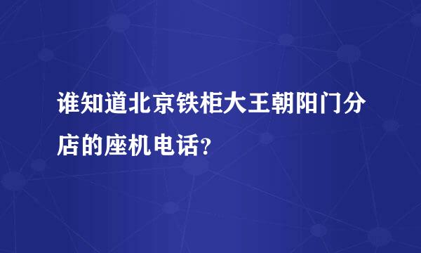 谁知道北京铁柜大王朝阳门分店的座机电话？