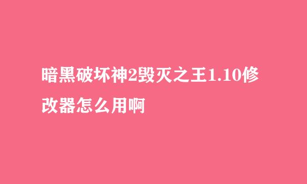 暗黑破坏神2毁灭之王1.10修改器怎么用啊