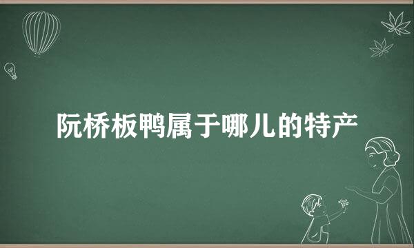 阮桥板鸭属于哪儿的特产