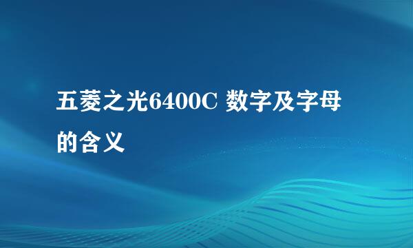 五菱之光6400C 数字及字母的含义