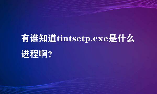 有谁知道tintsetp.exe是什么进程啊？