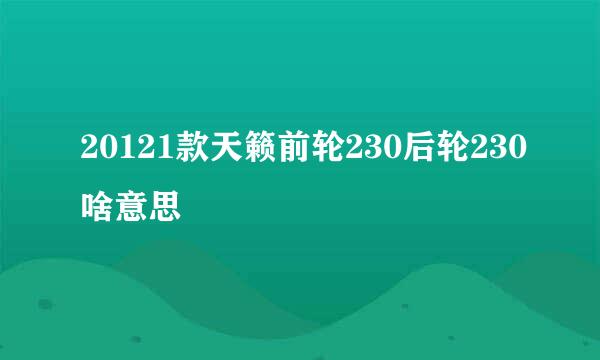 20121款天籁前轮230后轮230啥意思