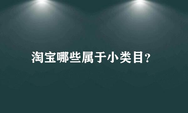 淘宝哪些属于小类目？