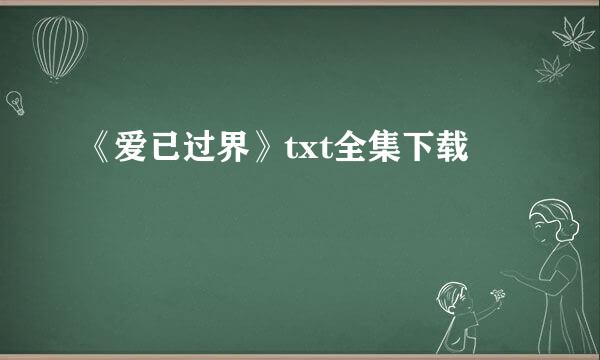 《爱已过界》txt全集下载