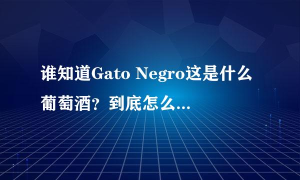 谁知道Gato Negro这是什么葡萄酒？到底怎么样？谢谢啦