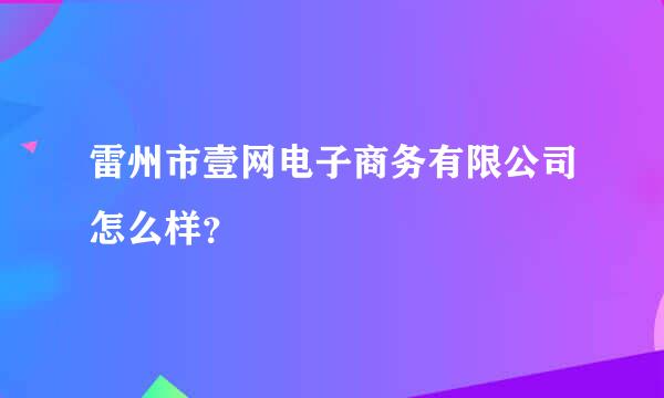 雷州市壹网电子商务有限公司怎么样？