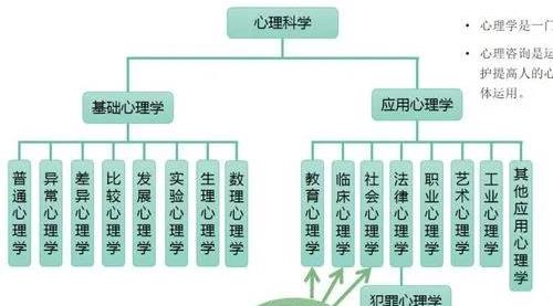 心理学主要学什么内容