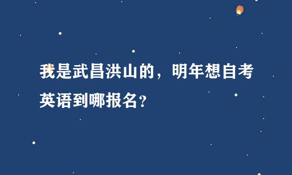 我是武昌洪山的，明年想自考英语到哪报名？