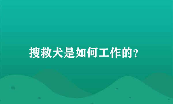 搜救犬是如何工作的？