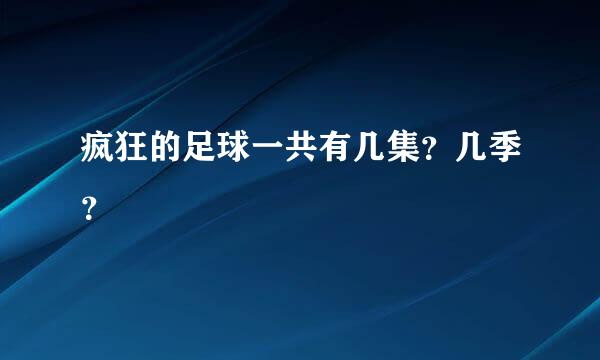 疯狂的足球一共有几集？几季？